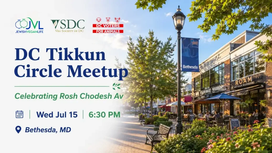 DC Tikkun Circle Meetup: Celebrating Rosh Chodesh Av