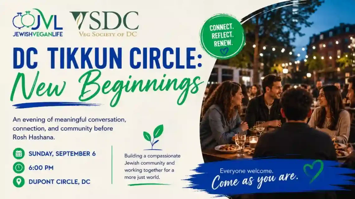 DC Tikkun Circle: New Beginnings