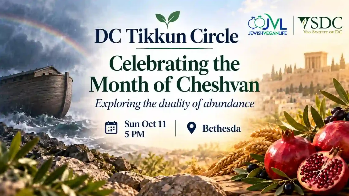 DC Tikkun Circle: Celebrating the Month of Cheshvan