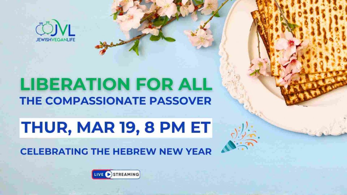Liberation for All: The Compassionate Passover
