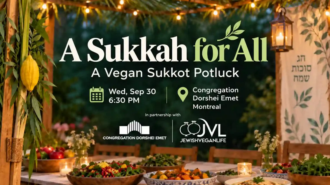 A Sukkah for All